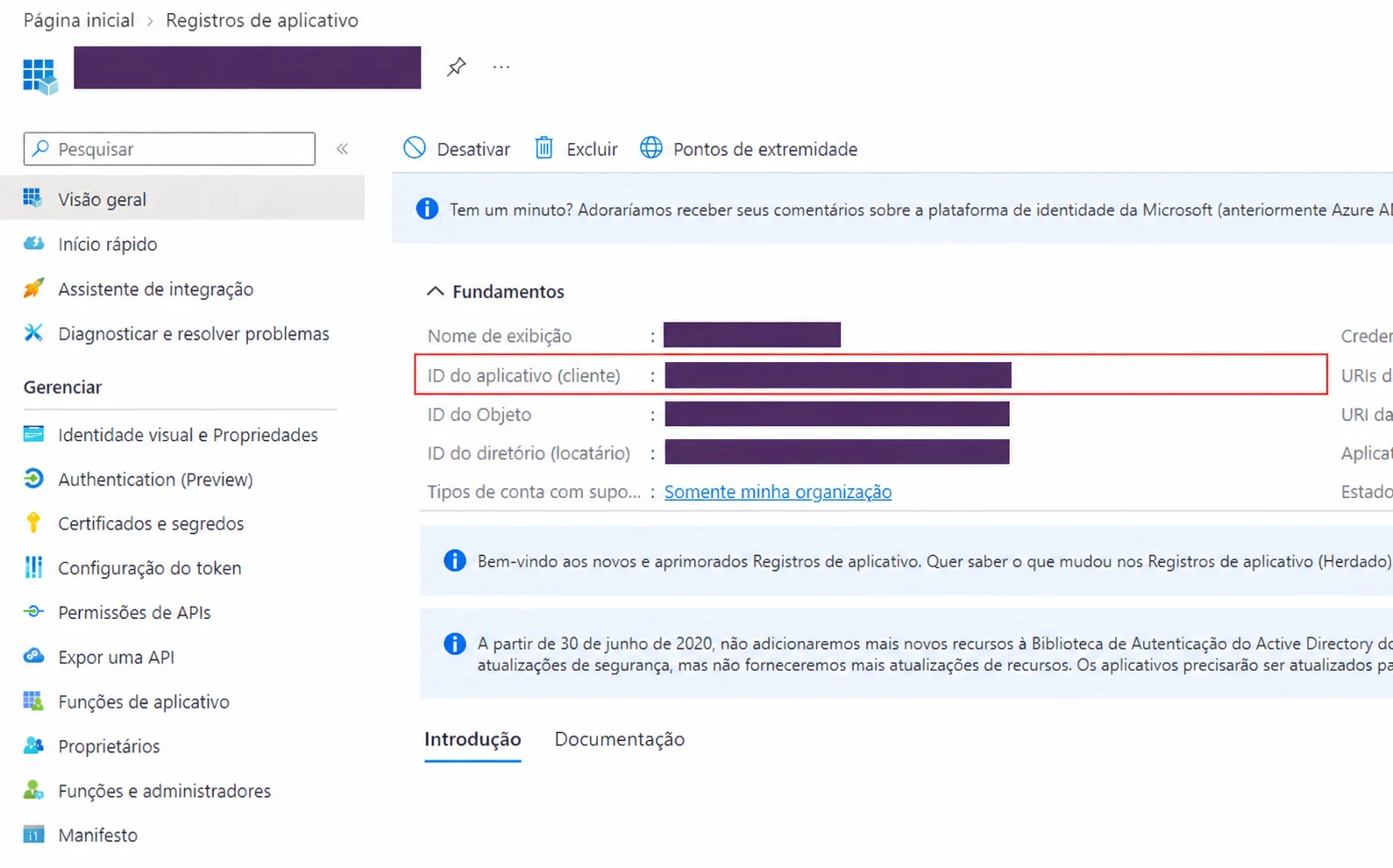 Vis&atilde;o geral do aplicativo no Entra, destacando ID do aplicativo cliente, com todos os identificadores ocultados.